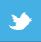 Twitter Icon